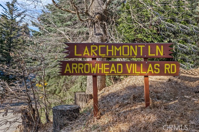 28224 Larchmont Lane, Lake Arrowhead, CA 92352 Listing Photo  24