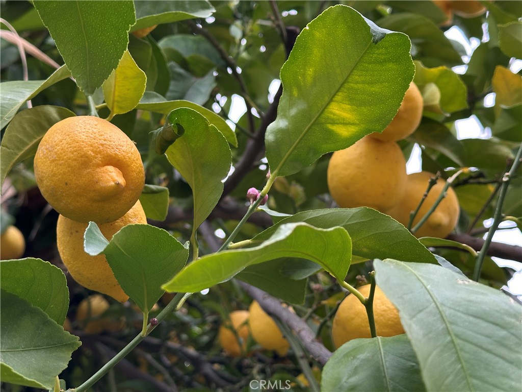 https://media.crmls.org/medias/f2c4a371-d00a-441a-866c-1f0c53027f5c.jpg?preset=X-Large