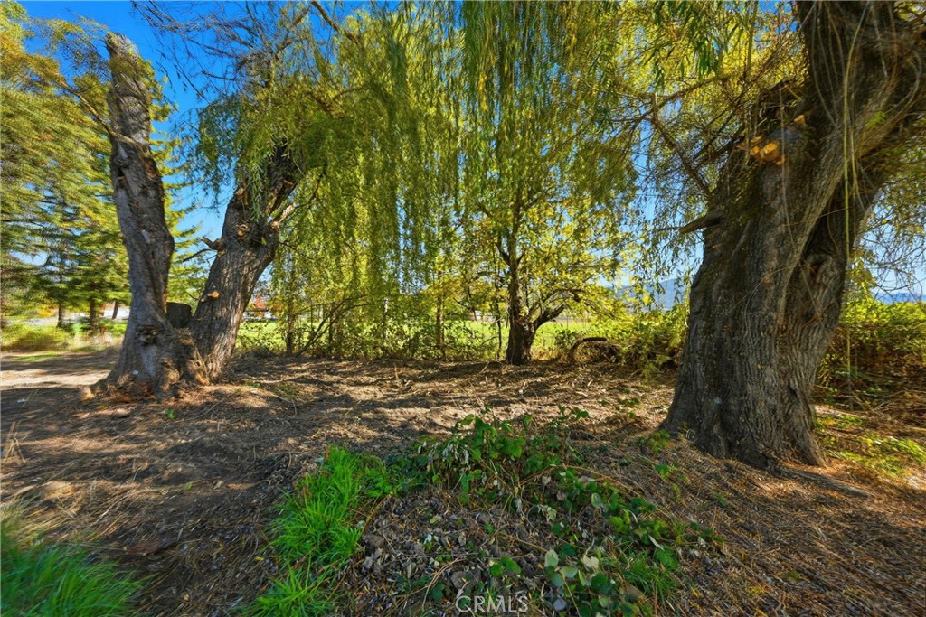 MLS #LC25253453 image #17