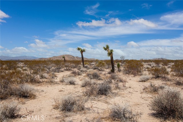 Detail Gallery Image 3 of 6 For 2000 Celeste Rd, Joshua Tree,  CA 92252 - – Beds | – Baths