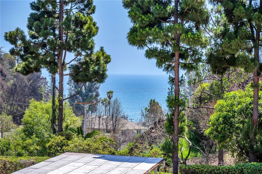 517 Palisades Drive