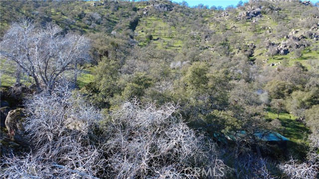 Detail Gallery Image 11 of 12 For 37087 Pebble, Squaw Valley,  CA 93675 - – Beds | – Baths