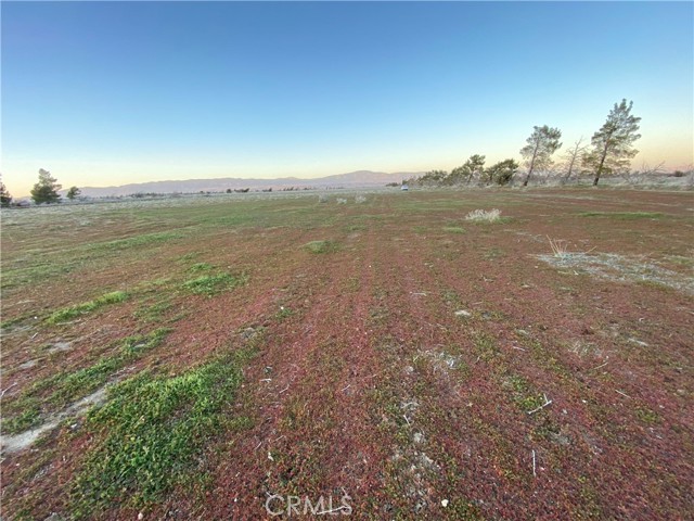 Detail Gallery Image 13 of 16 For 185 W Avenue F, Lancaster,  CA 93536 - – Beds | – Baths