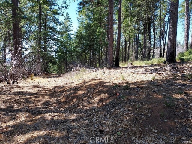 Front Image Thumbnail for CRLC26027912