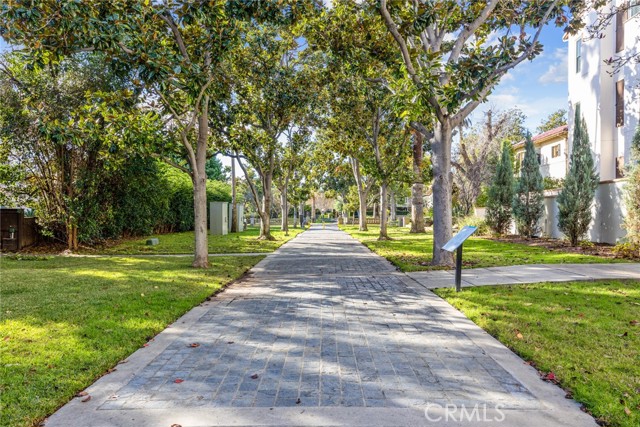 Campus Walkway