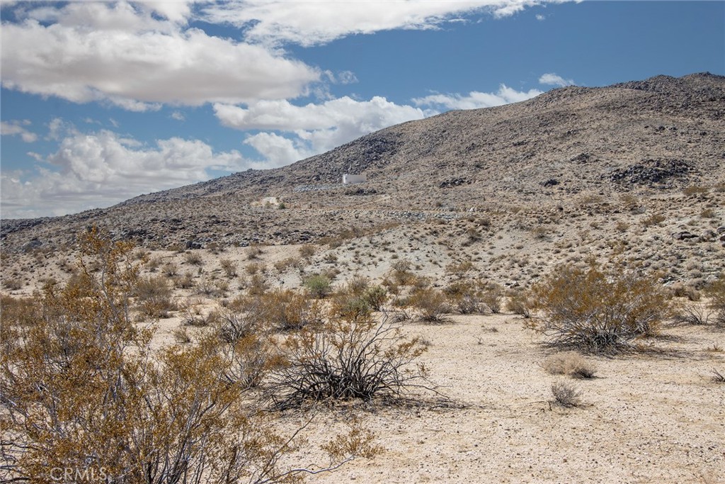 MLS #SN25221627 image #4