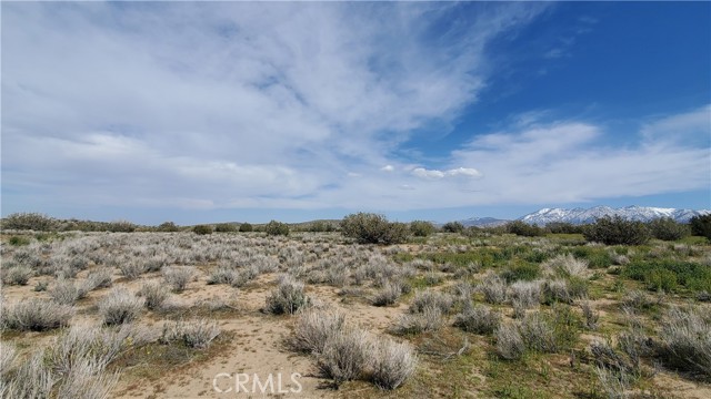 Detail Gallery Image 18 of 31 For 0 123rd St East Near Ave X8, –,  CA 93553 - – Beds | – Baths