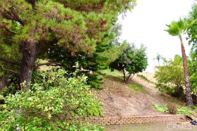 Image 3 for 1427 Stonecrest Pl, Diamond Bar, CA 91765