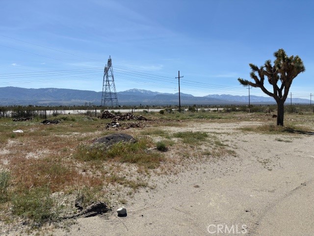 Detail Gallery Image 3 of 11 For 1290 Highway 18, Pinon Hills,  CA 92372 - – Beds | – Baths