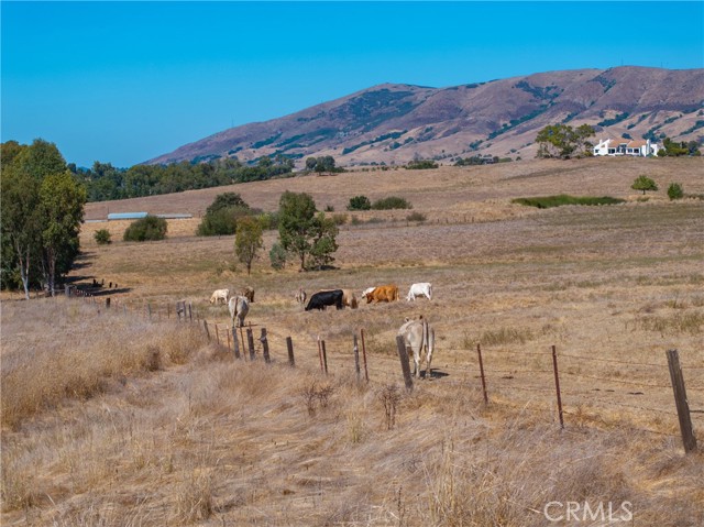 Detail Gallery Image 12 of 28 For 5385 Righetti Rd, San Luis Obispo,  CA 93401 - – Beds | – Baths