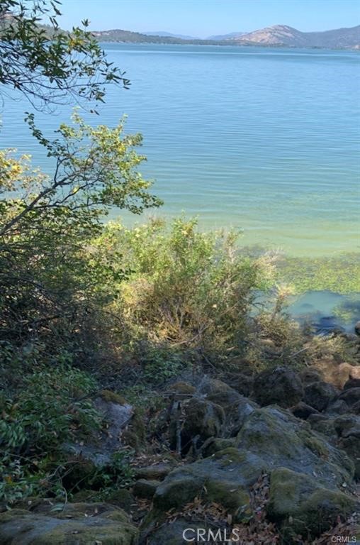 10508 Edgewater Drive, Kelseyville CA: https://media.crmls.org/medias/f2f7d9e6-2c6b-4005-bfb2-65fef9fbc520.jpg