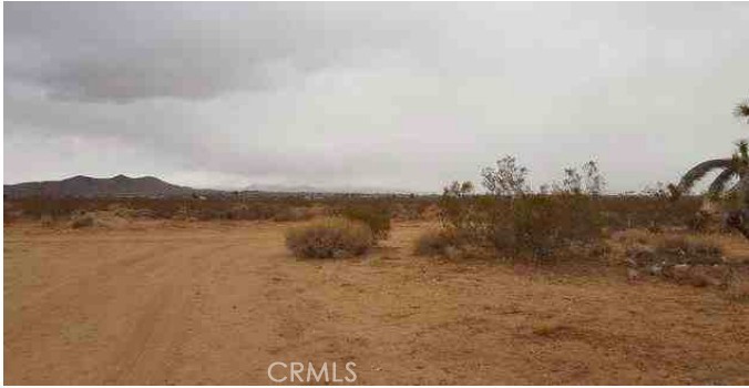 MLS #WS25187752 image #9