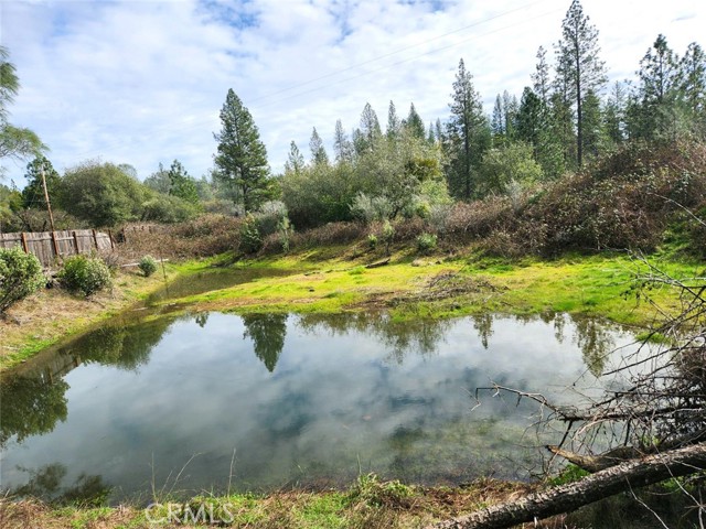 Detail Gallery Image 3 of 49 For 9366 Ranger Trl, Oregon House,  CA 95962 - 3 Beds | 2 Baths
