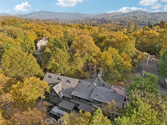 Detail Gallery Image 67 of 72 For 995 Tirol Ln, Lake Arrowhead,  CA 92352 - 4 Beds | 6 Baths