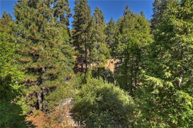 1285 N State Highway 173, Lake Arrowhead, California 92352, 4 Bedrooms Bedrooms, ,2 BathroomsBathrooms,Residential,For Sale,1285 N State Highway 173,CRIG24217261