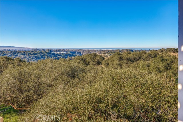 1790 Calle Laguna, Arroyo Grande CA: https://media.crmls.org/medias/f30a0ad7-b691-44ee-880c-63b4855a6d2e.jpg