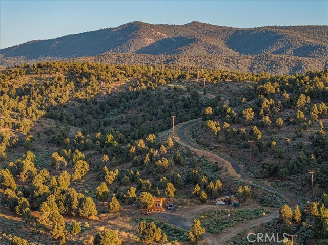 550 Eagle Ridge Rd, Big Bear, CA 92314