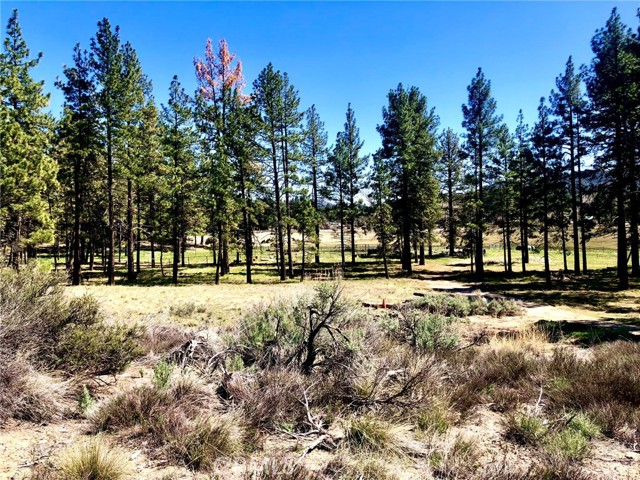 0 Butterfly Peak Rd, Mountain Center, CA, 92561 0 Butterfly Peak Rd, Mountain Center, CA, 92561