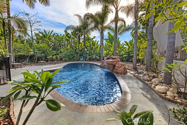 Detail Gallery Image 32 of 63 For 1321 Pepper Tree Ln, Vista,  CA 92084 - 4 Beds | 3 Baths