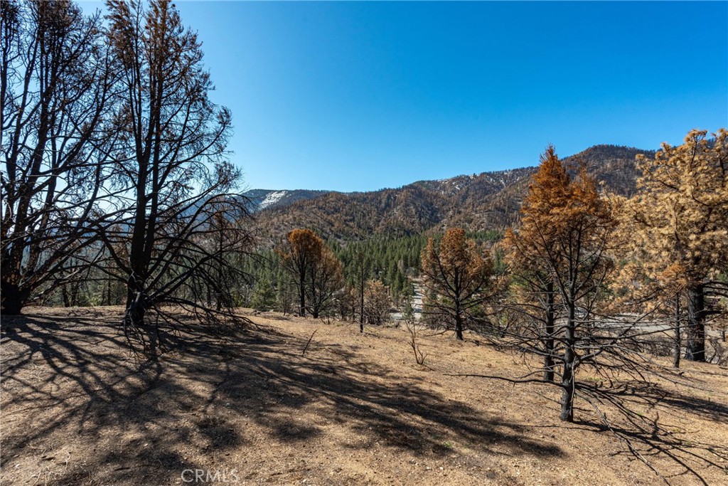 MLS #HD25089115 img 13