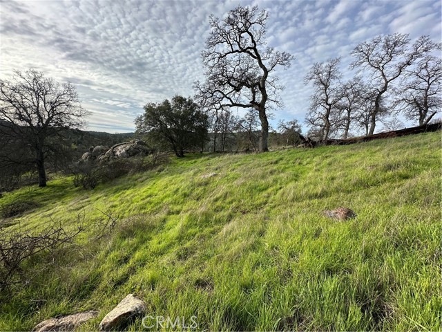 Detail Gallery Image 7 of 18 For 3224 Silver Bush Pl, Catheys Valley,  CA 95306 - – Beds | – Baths