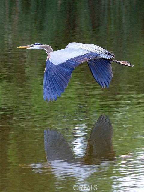 Detail Gallery Image 69 of 72 For 3153 Saint Francis Dr, Lakeport,  CA 95453 - 3 Beds | 2 Baths