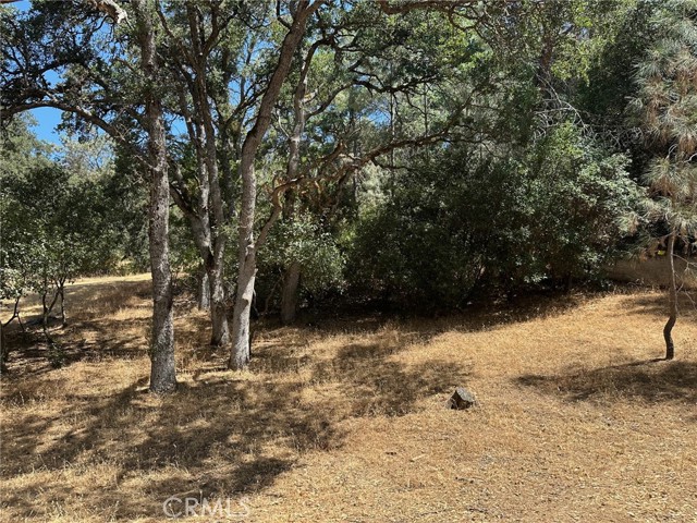 10810 Pingree Road, Clearlake Oaks CA: https://media.crmls.org/medias/f320486c-8d36-4c2f-bdb9-38d20efc6f71.jpg
