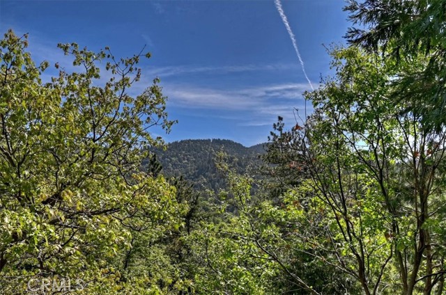 Detail Gallery Image 24 of 33 For 905 Jungfrau, Crestline,  CA 92325 - 2 Beds | 1/1 Baths