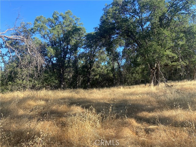 0 State Hwy 140, Mariposa CA: https://media.crmls.org/medias/f328c0f1-cb9c-4020-a0d0-1119a139aa39.jpg