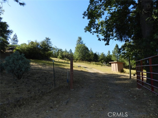 Detail Gallery Image 61 of 65 For 35616 Willow Canyon Dr, North Fork,  CA 93643 - 4 Beds | 3 Baths