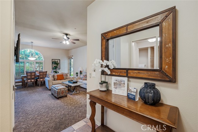 Image 8 for 48569   Classic DR