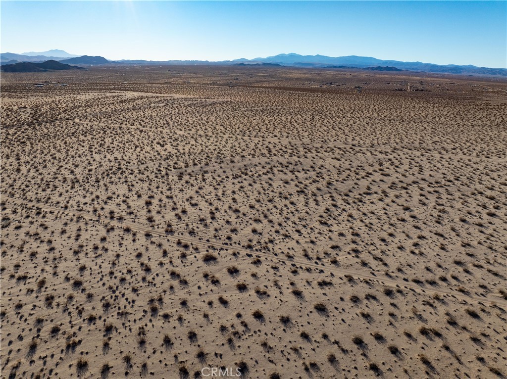 MLS #JT25029694 image #10