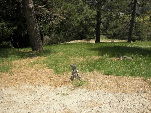 Detail Gallery Image 3 of 39 For 21524 Crest Forest Dr, Cedarpines Park,  CA 92322 - 2 Beds | 1 Baths