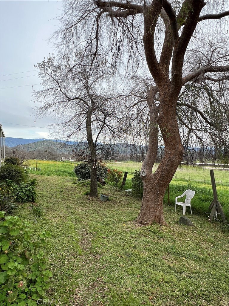 https://media.crmls.org/medias/f33323cf-8912-4379-8152-458895491672.jpg?preset=X-Large
