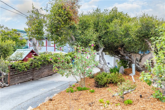 Detail Gallery Image 50 of 50 For 1261 8th St, Los Osos,  CA 93402 - 3 Beds | 2/1 Baths