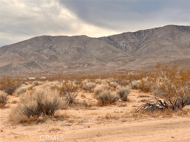 Detail Gallery Image 2 of 7 For 0 Ocotillo Rd, Johnson Valley,  CA 92285 - – Beds | – Baths