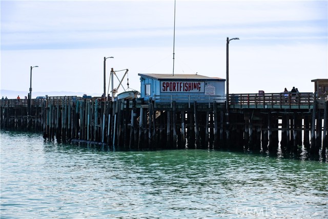 Local charter fishing.