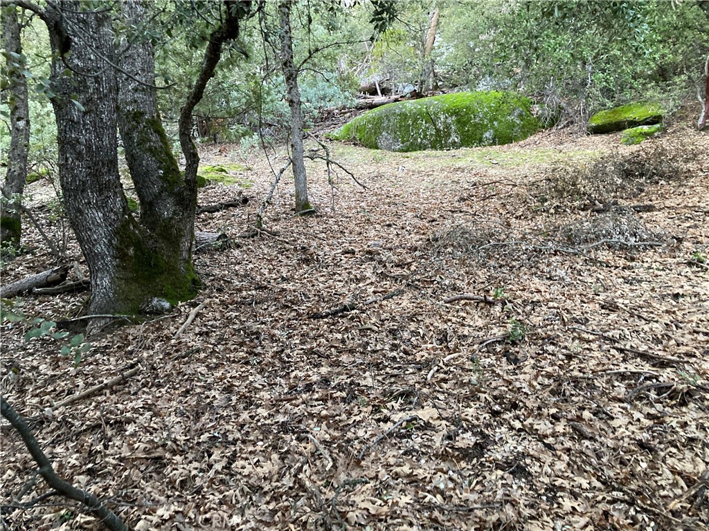 0 Granite Ridge Lane, Bass Lake, CA 93604