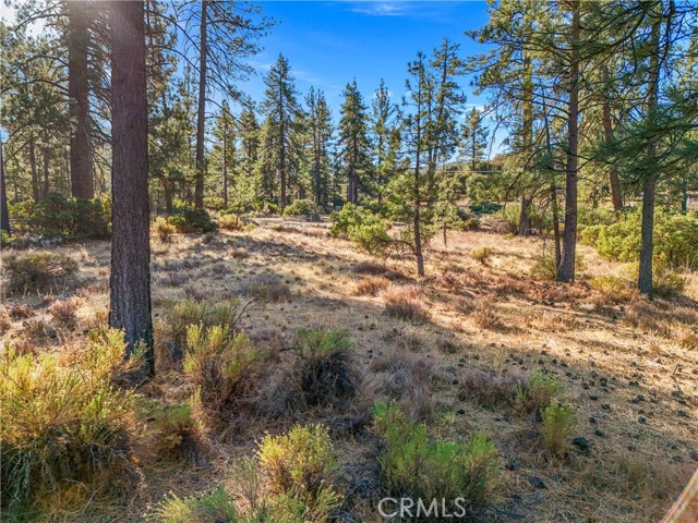 Detail Gallery Image 11 of 20 For 1 Pipe Creek Rd, Mountain Center,  CA 92561 - – Beds | – Baths