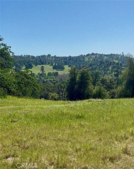 Detail Gallery Image 8 of 10 For 0 Av Ranch Rd, –,  CA 93928 - – Beds | – Baths