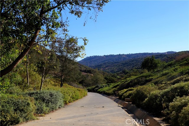 Aliso and Wood Canyon Wilderness Park is a 8.5 mile loop trail located near Aliso Viejo.