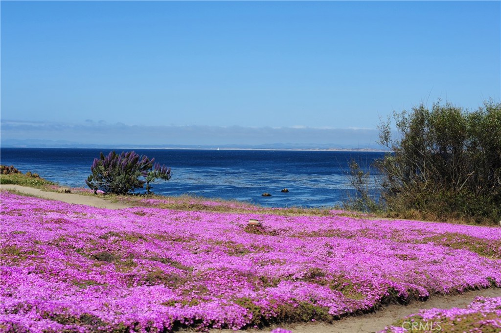 https://media.crmls.org/medias/f34eda1e-a80d-469b-96ce-f8b9b052d95d.jpg?preset=X-Large