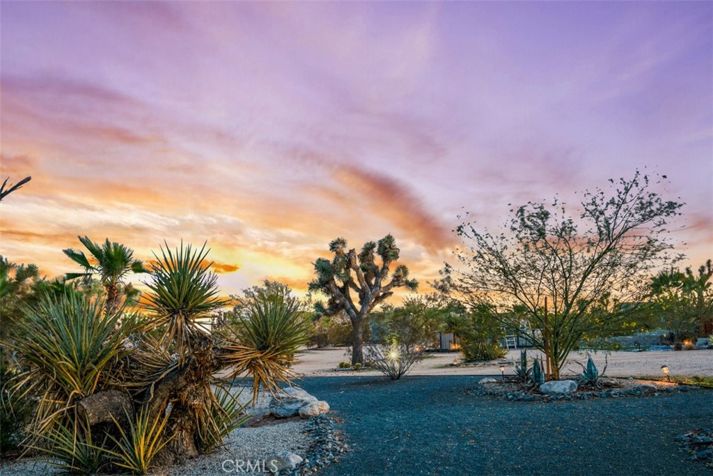 MLS #OC25170482 image #6