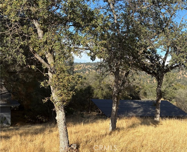 30449 Corral Drive, Coarsegold CA: https://media.crmls.org/medias/f3664562-3dd4-485c-a711-8eb5ad01c289.jpg