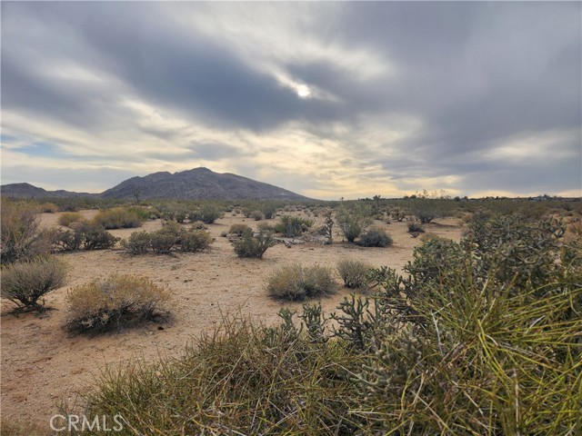 Detail Gallery Image 14 of 23 For 4147 Sunburst St, Joshua Tree,  CA 92252 - – Beds | – Baths