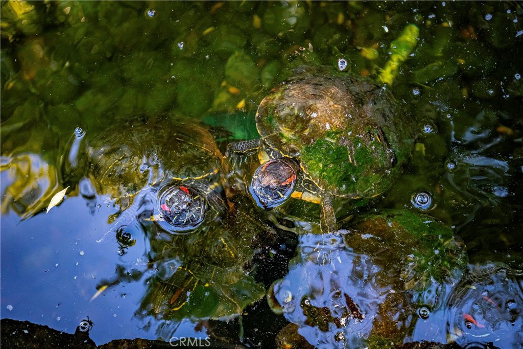 https://media.crmls.org/medias/f36e6eb8-a967-466e-baa6-c02d82d0096a.jpg?preset=X-Large