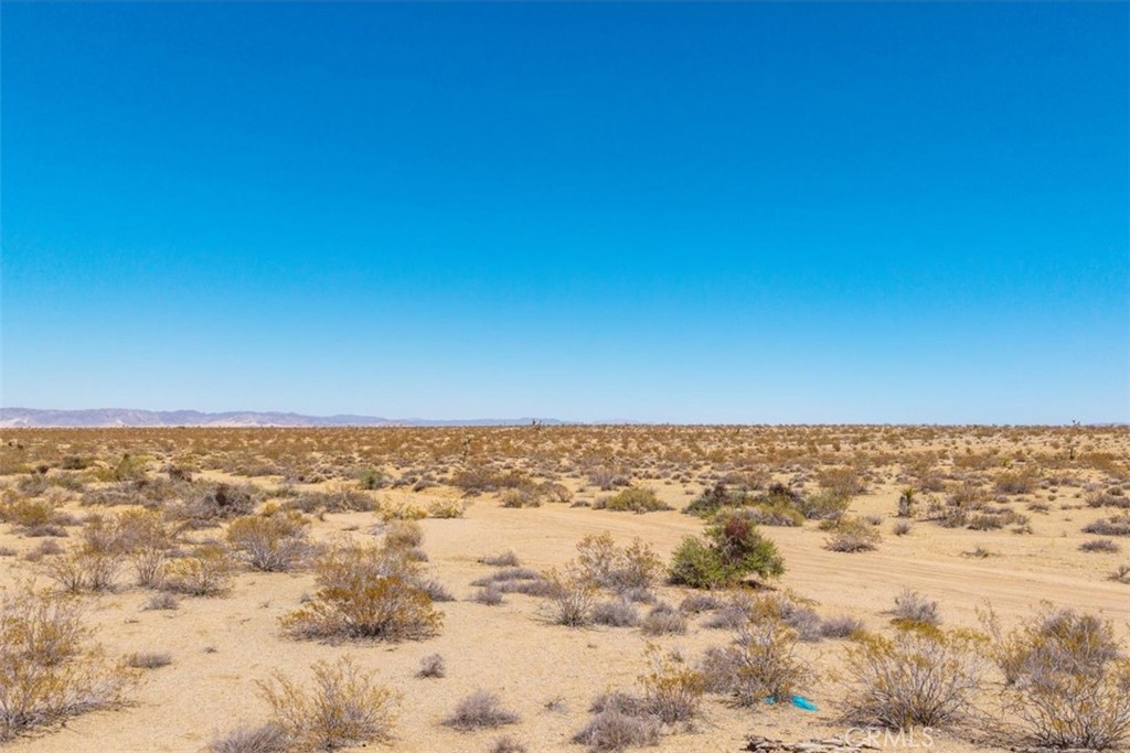 MLS #JT25173166 image #3