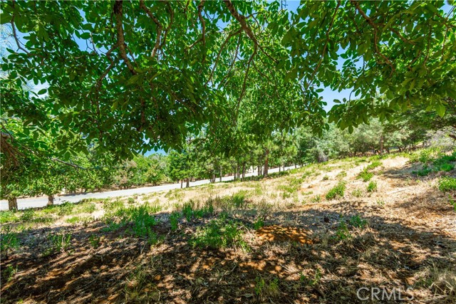 Detail Gallery Image 64 of 75 For 3126 Edgewood Drive, Kelseyville,  CA 95451 - – Beds | – Baths