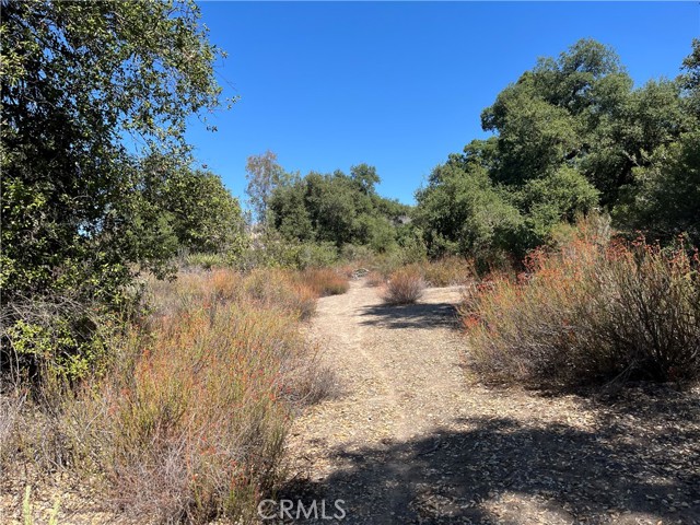 Detail Gallery Image 21 of 26 For 35010 Willow Creek Rd., Hemet,  CA 92544 - – Beds | – Baths