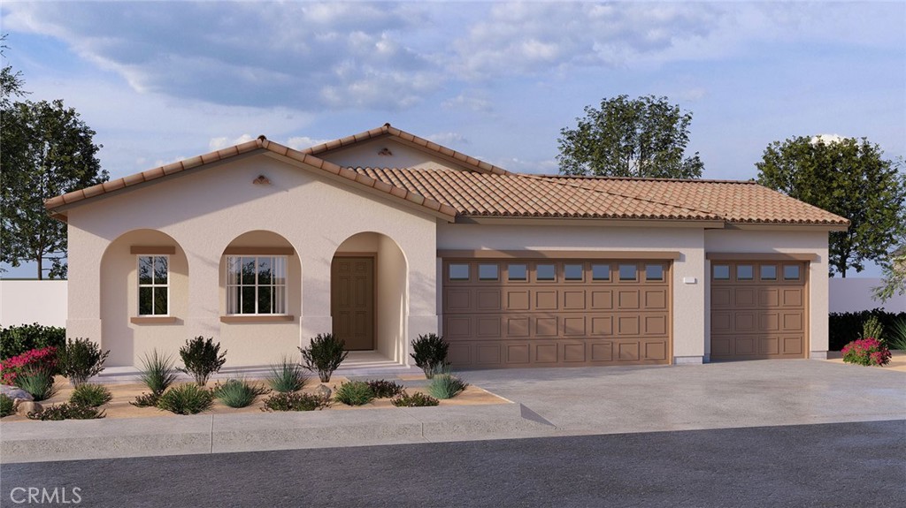 23308 Desert Dandelion Court